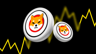 Shiba Inu Price Prediction SHIB Price Poised For 300 Rally in Coming Days 1024x536 4