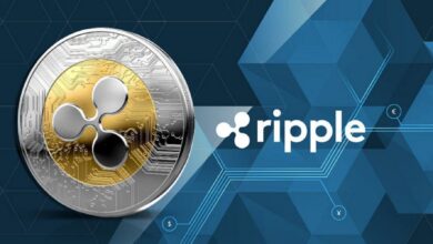 XRP تتراجع بشكل حاد رغم النشاط الكبير في شركة ريبل: فما السبب؟