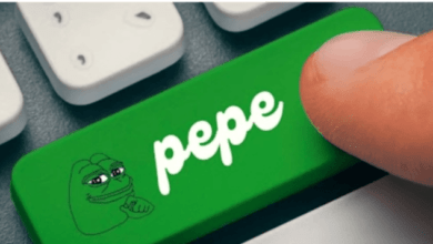 عملة Pepe تسجل أعلى مستوى تاريخي جديد وترتفع بنسبة 98.8% خلال شهر