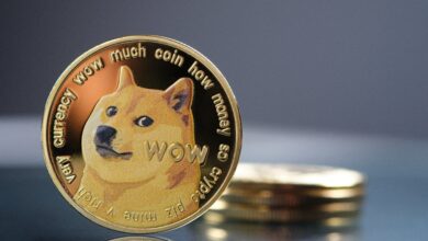 توقعات سعر عملة DOGE ليوم 5 مايو