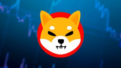 توقعات سعر عملة شيبا إينو: لماذا قد يستغرق تعافي SHIB بعض الوقت؟