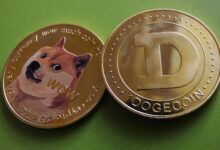 دوجكوين تشق طريقها للأمام: هل تحقق العملة سعر 0.25 دولار في مايو؟
