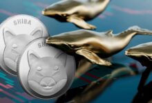 صفقة لحوت شيبا إينو تثير قلق المستثمرين: فهل تصل العملة إلى أعلى مستوى لها؟