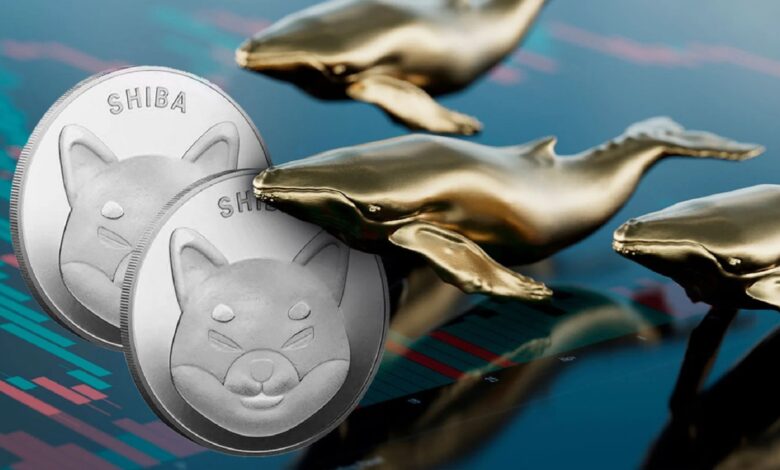 صفقة لحوت شيبا إينو تثير قلق المستثمرين: فهل تصل العملة إلى أعلى مستوى لها؟