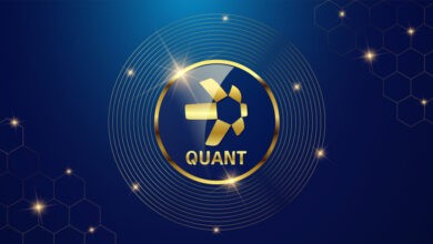 عملة QNT الرقمية