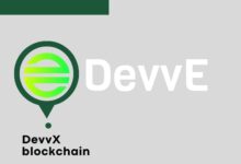 DevvX blockchain