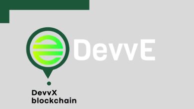 DevvX blockchain