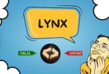 هل عملة LYNX حلال أم حرام؟