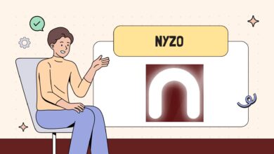 عملة NYZO الرقمية