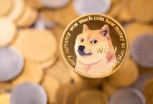 توقعات سعر عملة الدوجكوين DOGE ليوم 19 يونيو