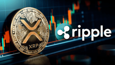 تحديث مهم بخصوص عملة Ripple المستقرة.. إليك التفاصيل