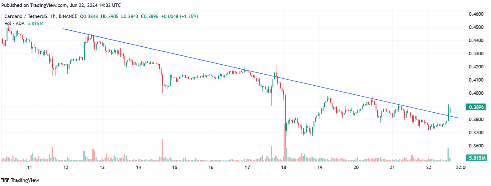 كاردانو تعلن عن تحديثات رئيسية: هل سيتعافى سعر ADA في المستقبل؟
