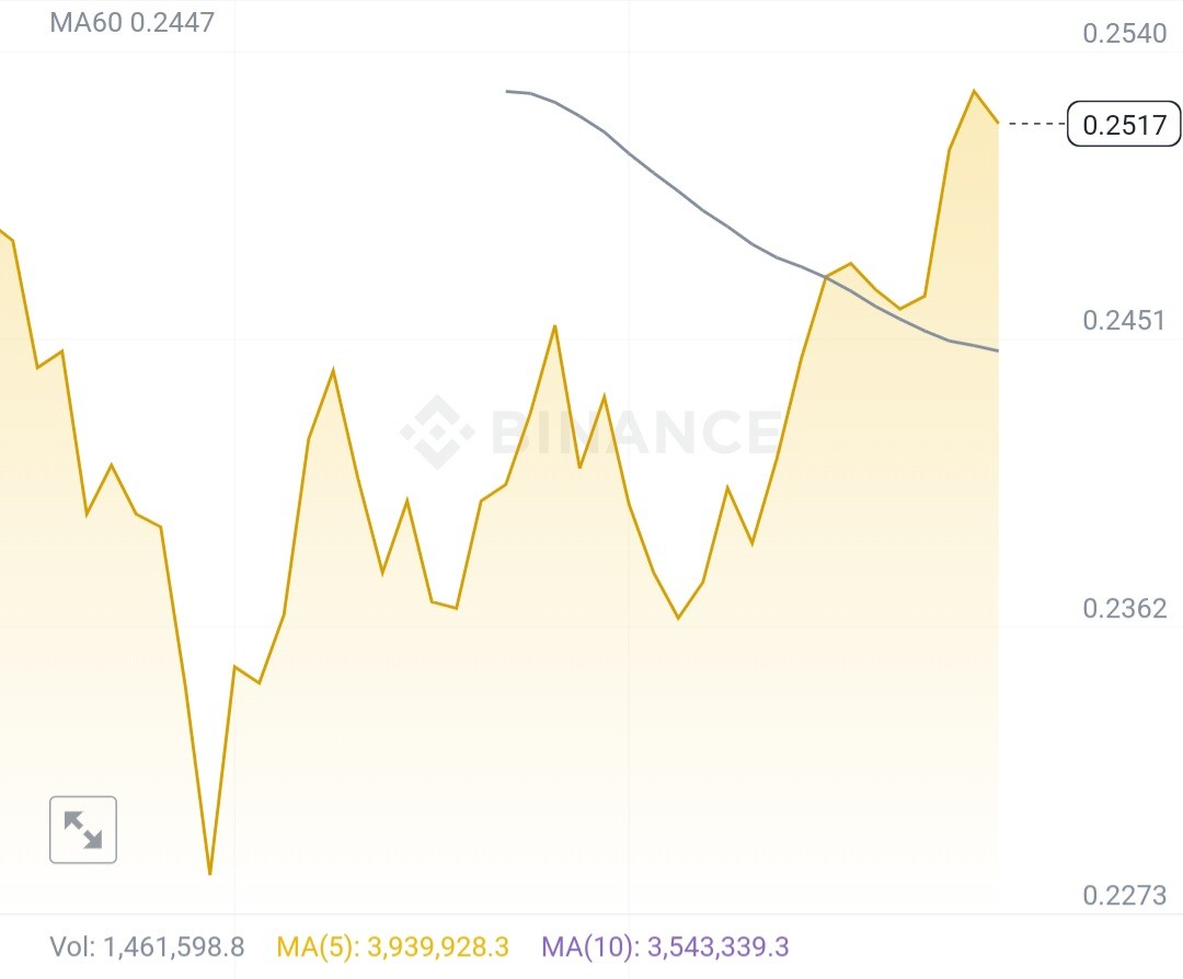 Screenshot ٢٠٢٤٠٦١٧ ١٤١٩٢٢ Binance