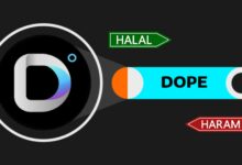 هل عملة DOPE حلال أم حرام