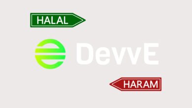 الخدمات الحلال التي تقدمها عملة DEVVE