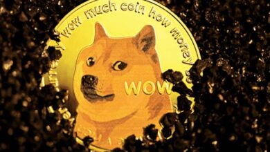 توقعات سعر عملة الدوجكوين: هل ستشهد DOGE انتعاشاً في يونيو؟