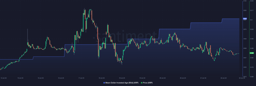 xrp bull run 1024x347 1