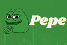 مستثمر في عملة Pepe يحقق ربحا مذهلا في 6 أشهر فقط