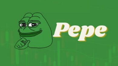 مستثمر في عملة Pepe يحقق ربحا مذهلا في 6 أشهر فقط