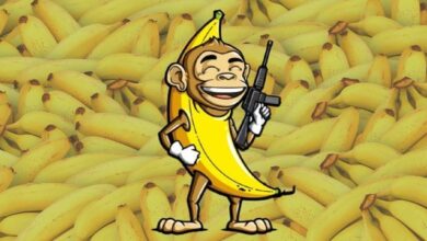 هل عملة Banana Gun حلال أم حرام