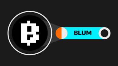 هل عملة BLUM حلال