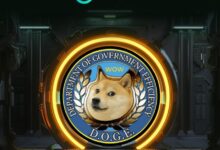 كيف تجمع DOGEGOV بين ثقافة الميمز والإصلاح السياسي