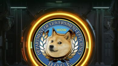 كيف تجمع DOGEGOV بين ثقافة الميمز والإصلاح السياسي