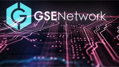 عملة GSE الرقمية