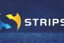 عملة STRP الرقمية