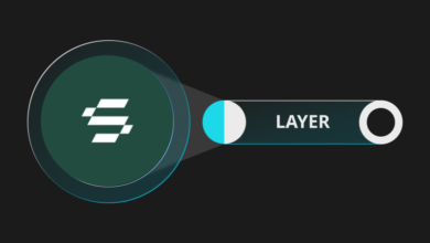 عملة LAYER الرقمية