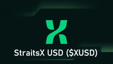 عملة XUSD الرقمية