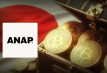 ماركة الأزياء اليابانية ANAP تشتري البيتكوين