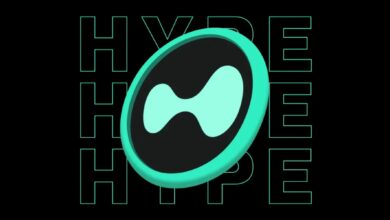 عملة HYPE تحقق ارتفاعات جديدة: إلى أين ستصل العملة؟