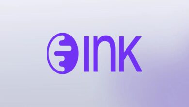 ما السبب وراء ارتفاع النشاط على شبكة Ink؟