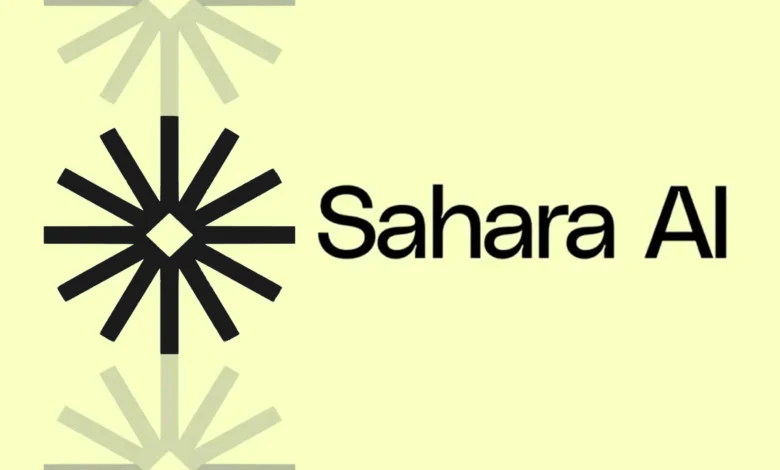 تعرف أكثر على عملة SAHARA الرقمية 1 عملة SAHARA الرقمية
