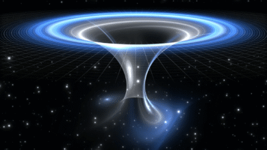 ما هي أبرز العوامل التي قد تدفع عملة Wormhole للارتفاع؟