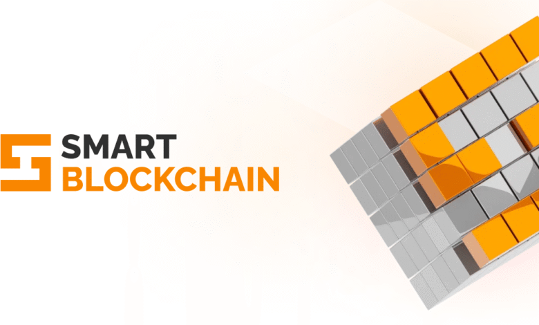 كل ما ترغب معرفته عن عملة SMART الرقمية 1 عملة SMART الرقمية