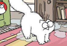 هل عملة CAT حلال