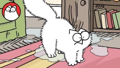 هل عملة CAT حلال