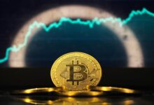 استقرار سعر بيتكوين وسط حالات بيع العملة: إليك ما حدث