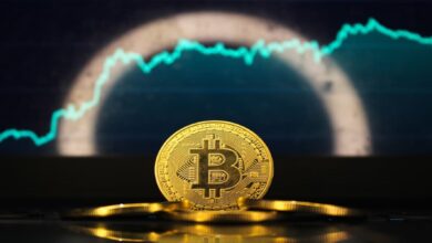 استقرار سعر بيتكوين وسط حالات بيع العملة: إليك ما حدث