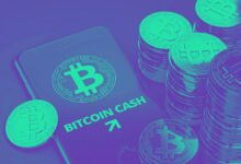 ما السبب وراء ارتفاع عملة بيتكوين كاش اليوم؟