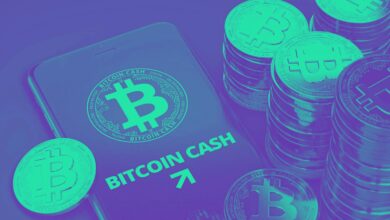 ما السبب وراء ارتفاع عملة بيتكوين كاش اليوم؟