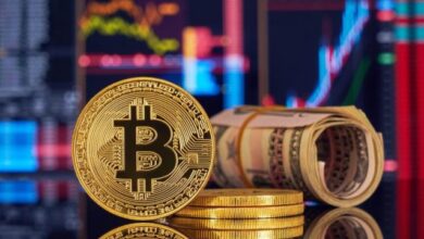البيتكوين كبديل للدولار