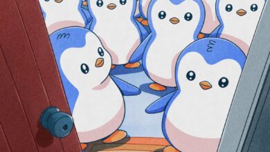 لماذا ارتفعت عملة PENGU اليوم؟