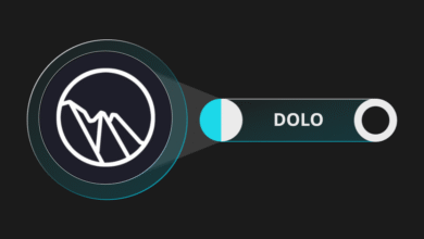 هل عملة DOLO حلال