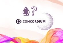هل عملة CCD حلال
