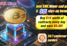 SWL Miner