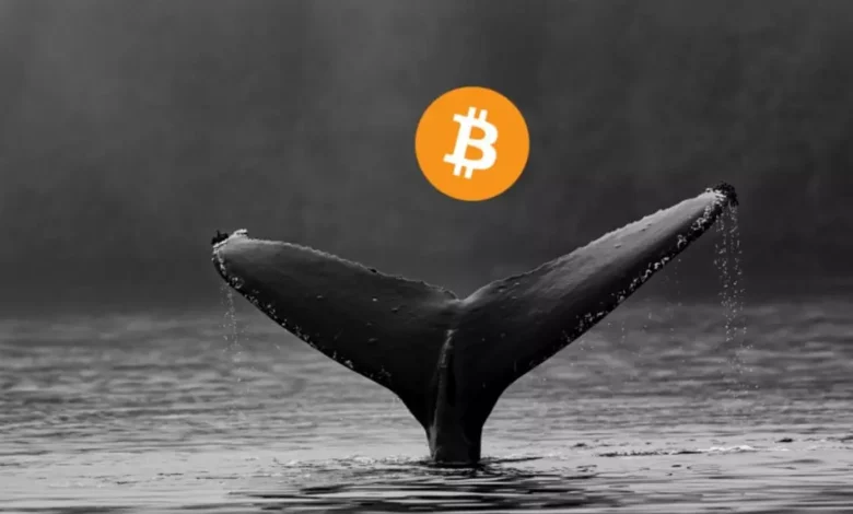 أكبر صفقة في تاريخ الكريبتو.. حوت بيتكوين يبيع 80 ألف عملة بـ9 مليارات دولار 1 بيتكوين