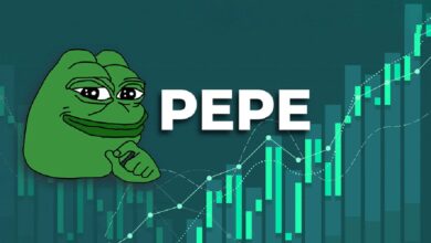 عملة PEPE تتعرض لضربة موجعة: فهل هناك أمل بارتفاعها؟